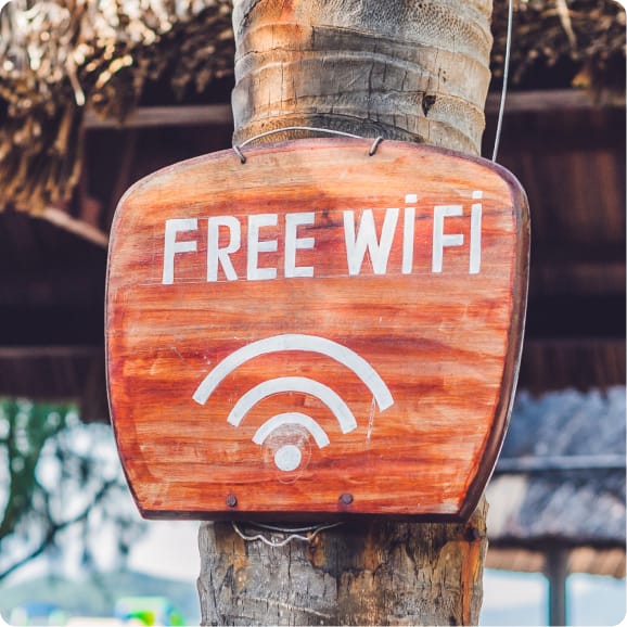 A Free Wifi sign attached to a palm tree. The sign itself is written in white on wooden sign.